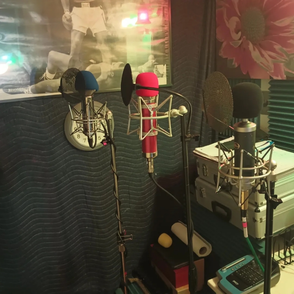 Recording Studio Time - Picture 10 of 16